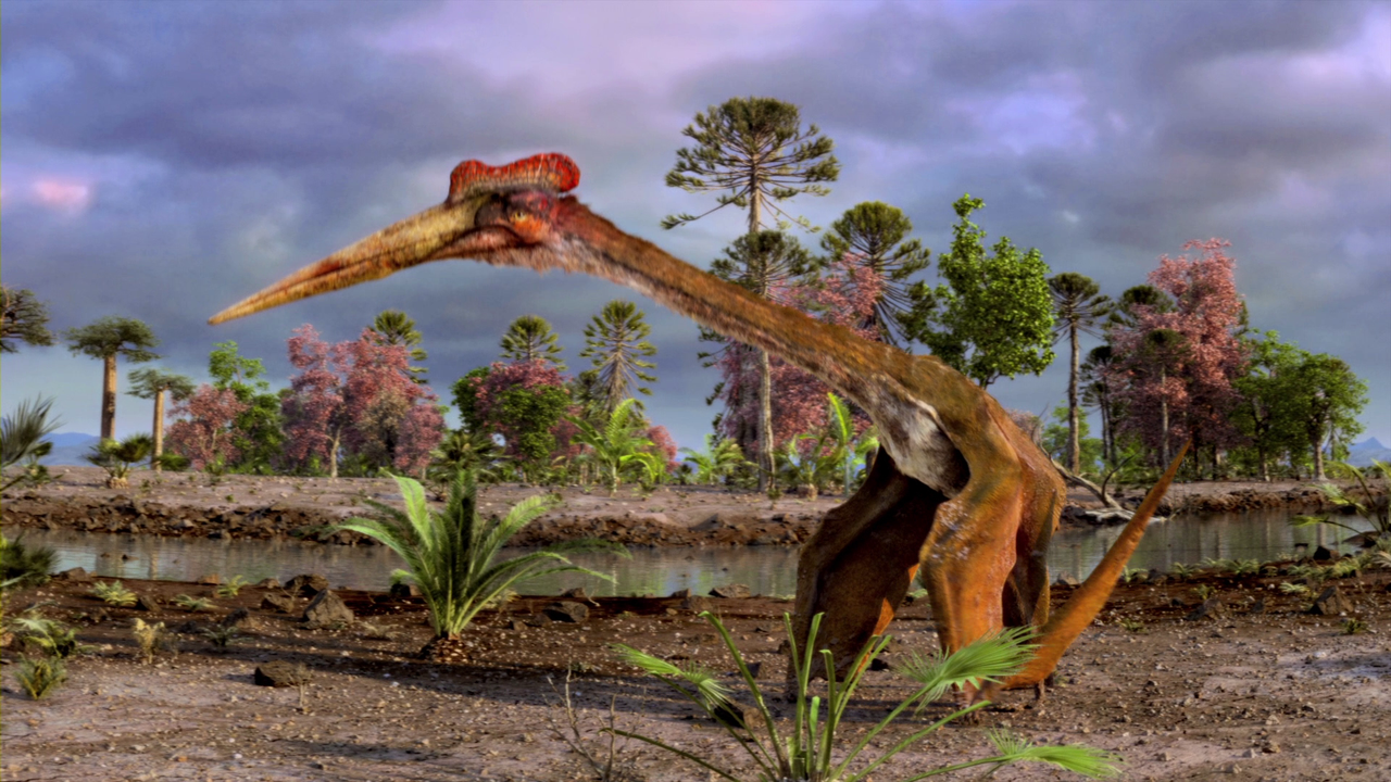 vlcsnap-2023-01-08-14h49m24s593