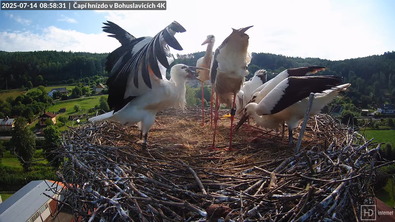 Tiešraide no KARA uzņēmuma stārķu skursteņa Bohuslavicē netālu no Trutnovas 11-50-19 screenshot