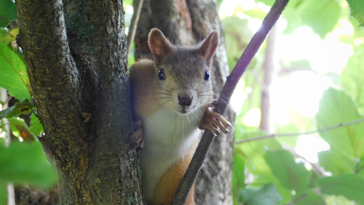 Дачное и  к Хелл сентябрь 2023 004