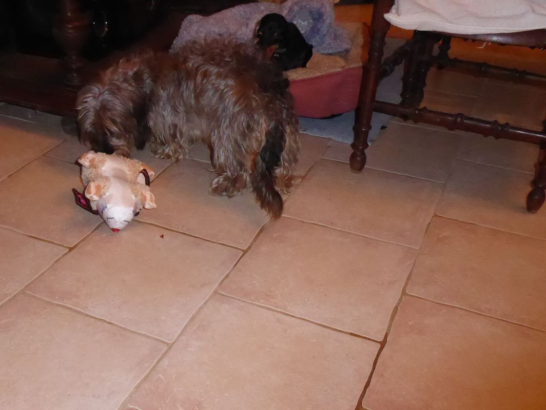 [Image: P1040180.jpg]