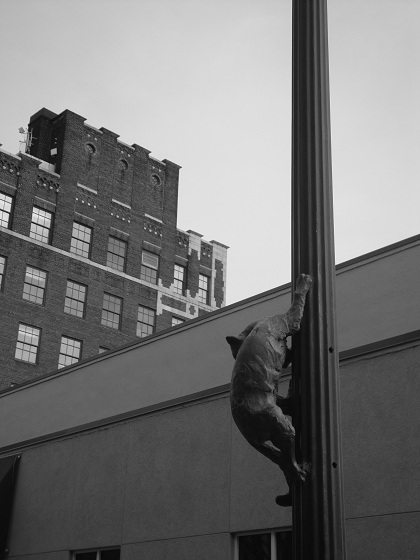 2-cat-buildings-Asheville-urban-trail