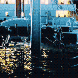 diary24.gif