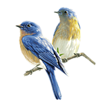 0_1c0bad_c298f707_orig