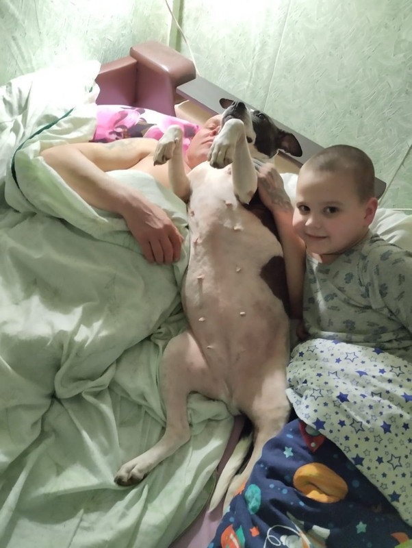 E1BDAC8C-A52D-46C7-B75B-FA8653F39037