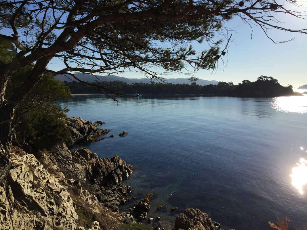 B7BAB4A0-781F-4758-905A-BC3792D67C7E