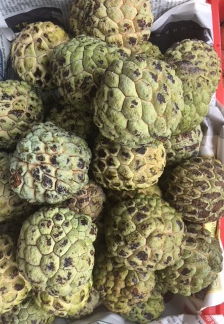 [Image: IMG-5703.jpg]