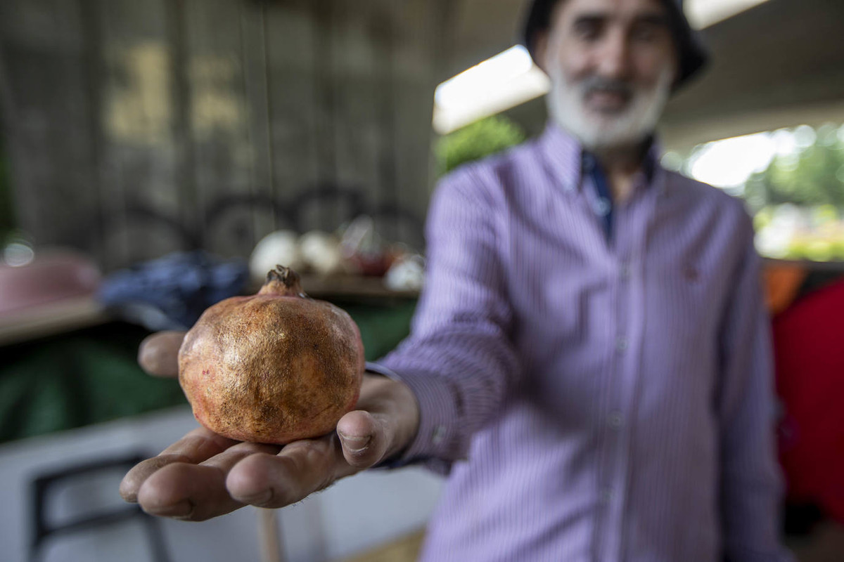 [Jorge con una granada en la mano]