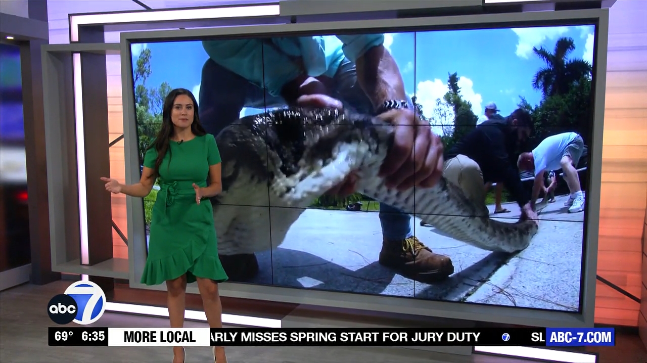 Abc7 More In The Morning Wkn 6Am Su 20240317 10001100-1.mp4_snapshot_31.59.979