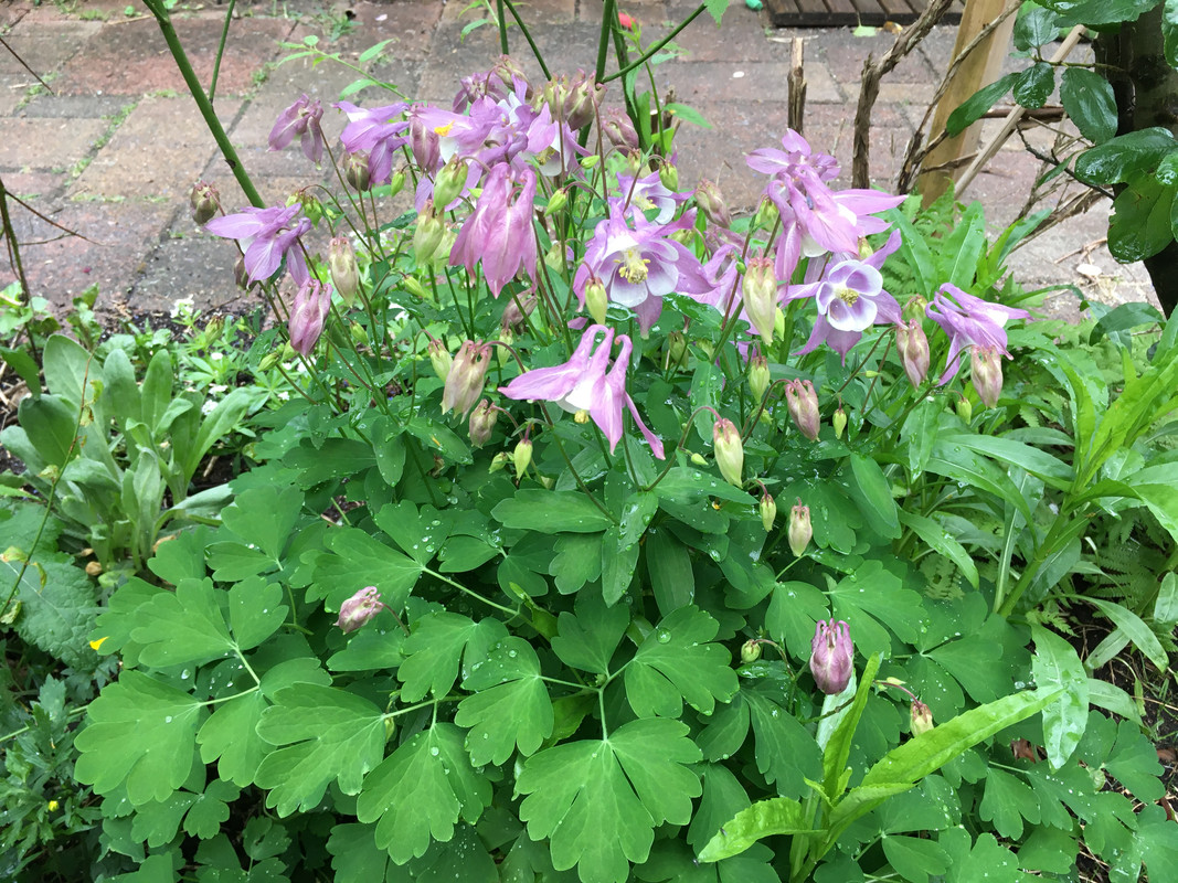 E828F943-ADD8-468D-9A08-2A6E9DF756C4