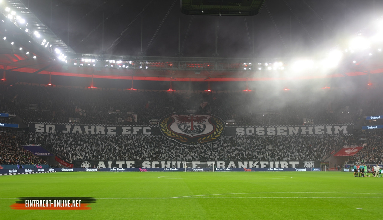 25 26 eintracht frankfurt 1 fsv mainz 05 0006