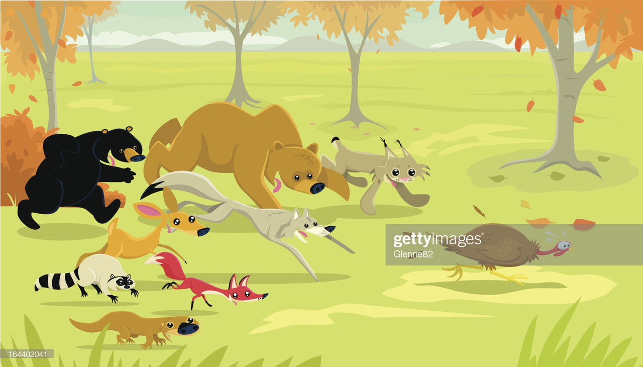 A8B942A5-B6A5-4049-A7BE-DA2E9DE9A1E1