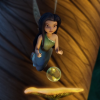 TBSil-Dewdrop-Icon