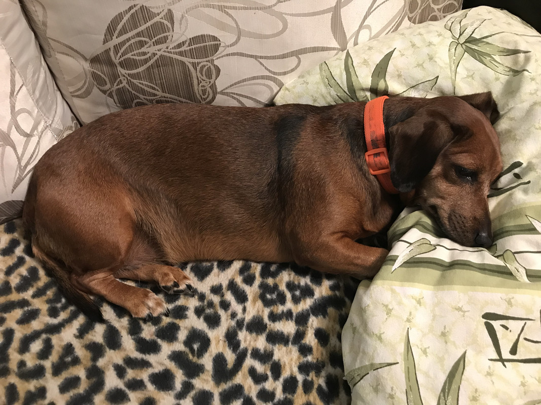 C717FC0A-1B7C-47CE-85CB-CD229DD28D7A