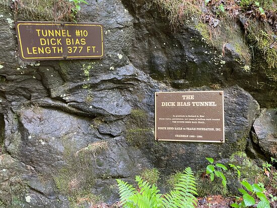 signage-for-the-dick.jpg