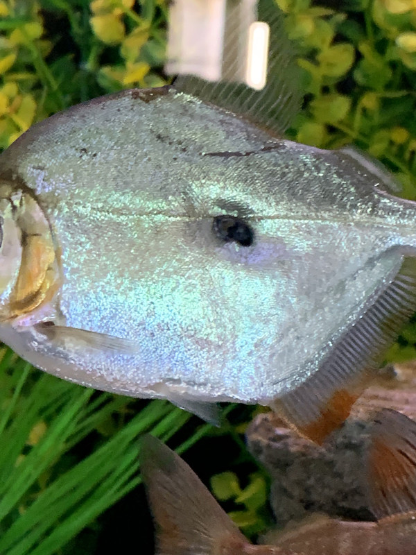 82E57854-C6C5-4057-922B-B1C58D2137B4