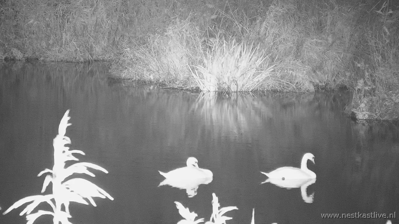 snapshot 2025 11 15T194652 674