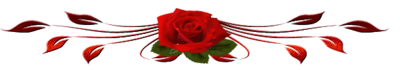 130585x57h-TLRK.png