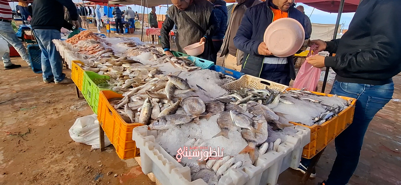 Sequence-02-00-01-31-05-Still013