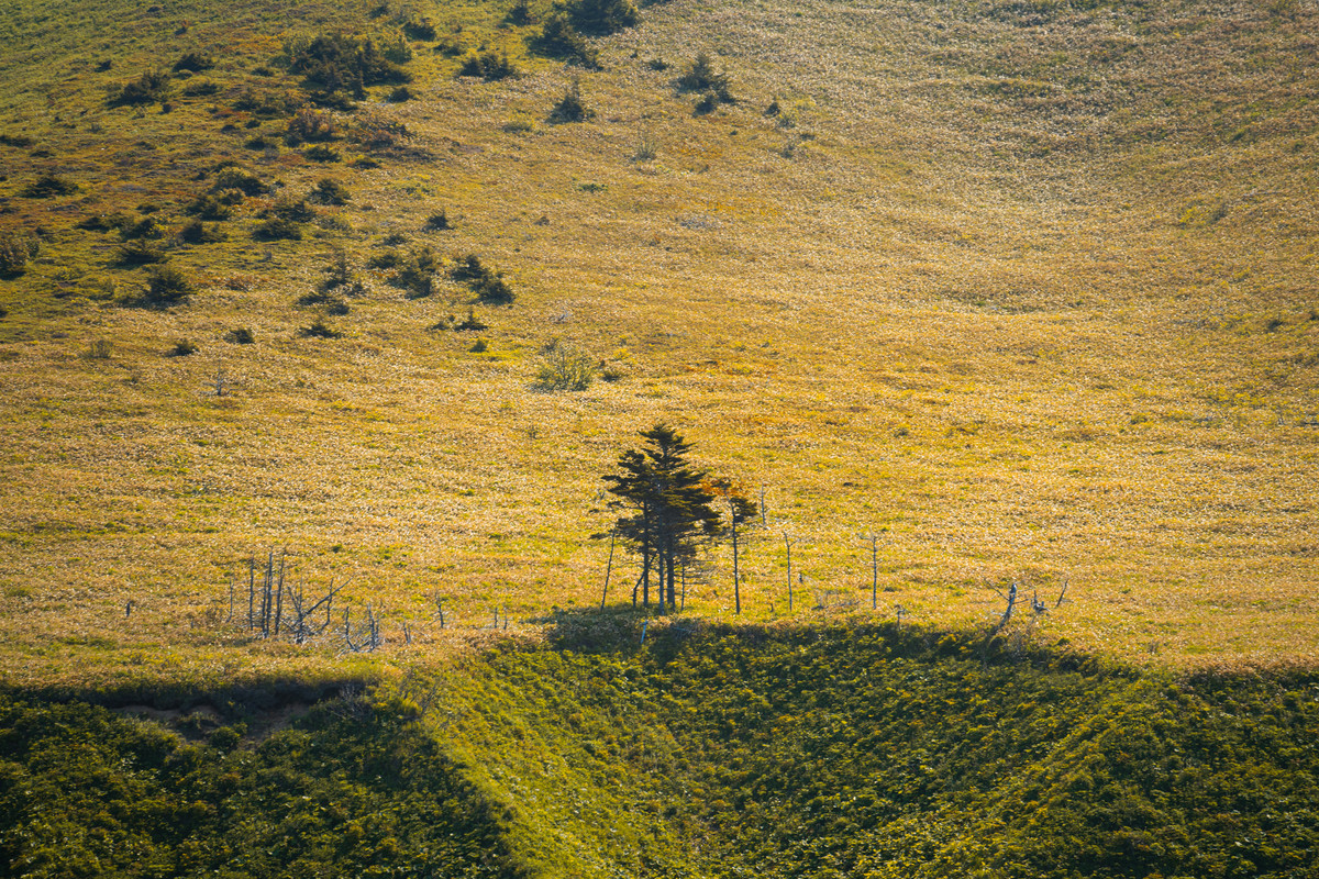 Осень на Сахалине: золотое время для фотографов