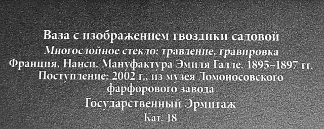 https://i.postimg.cc/VN25jcLV/066-IMG-20250326-160527.jpg