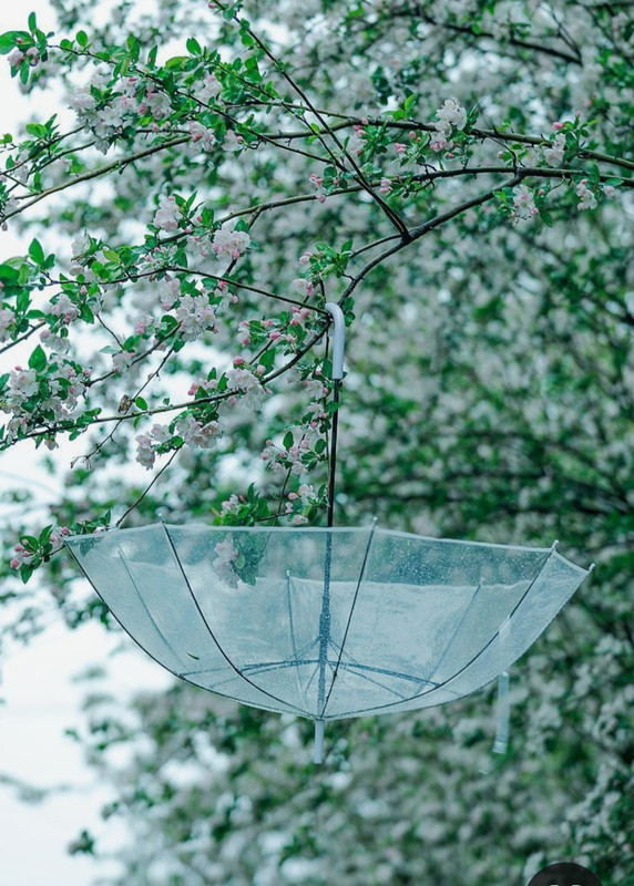 Screenshot_20240330_234146_Pinterest