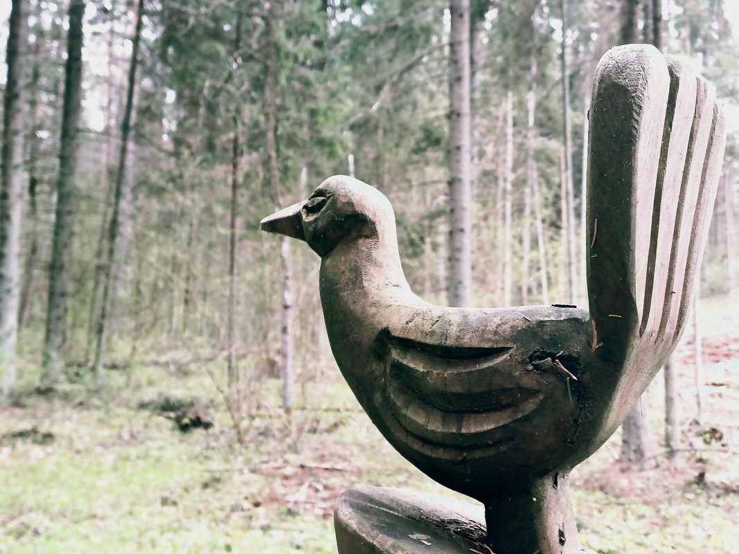 Sirvėtos regioninis parkas