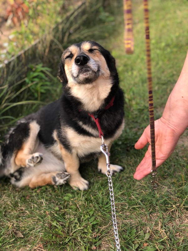 B5D8709A-0085-4B2D-8165-AB3F70429F45