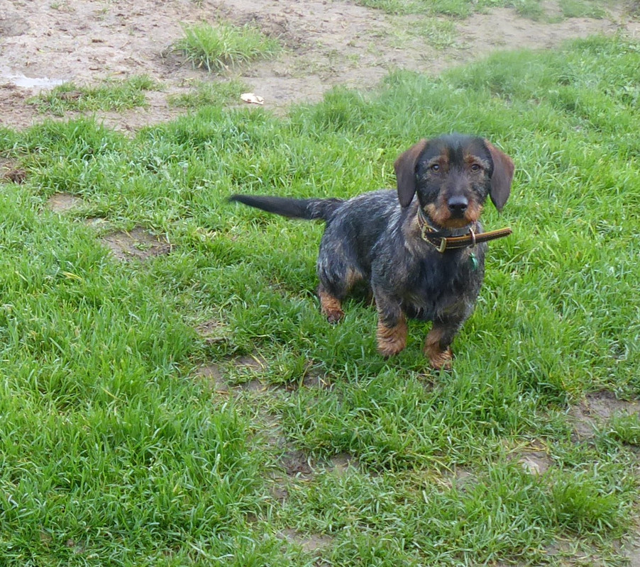 [Image: P1040397.jpg]