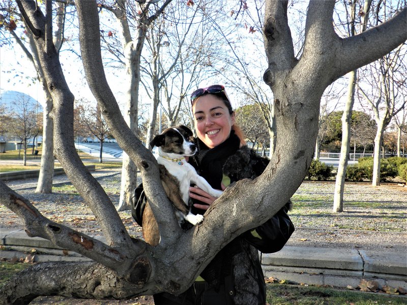 PARQUE ENRIQUE TIERNO GALVAN-2013 AL 2017-MADRID - Paseando por España-1991/2017 (24)