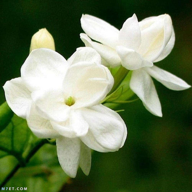 2111ACD8-1C17-43DB-9C5A-F159EDA6C22F