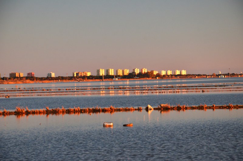 Valencia y sus pueblos-2005/2024 - Blogs de España - Parque Natural de La Albufera-21-12-2024 (8)