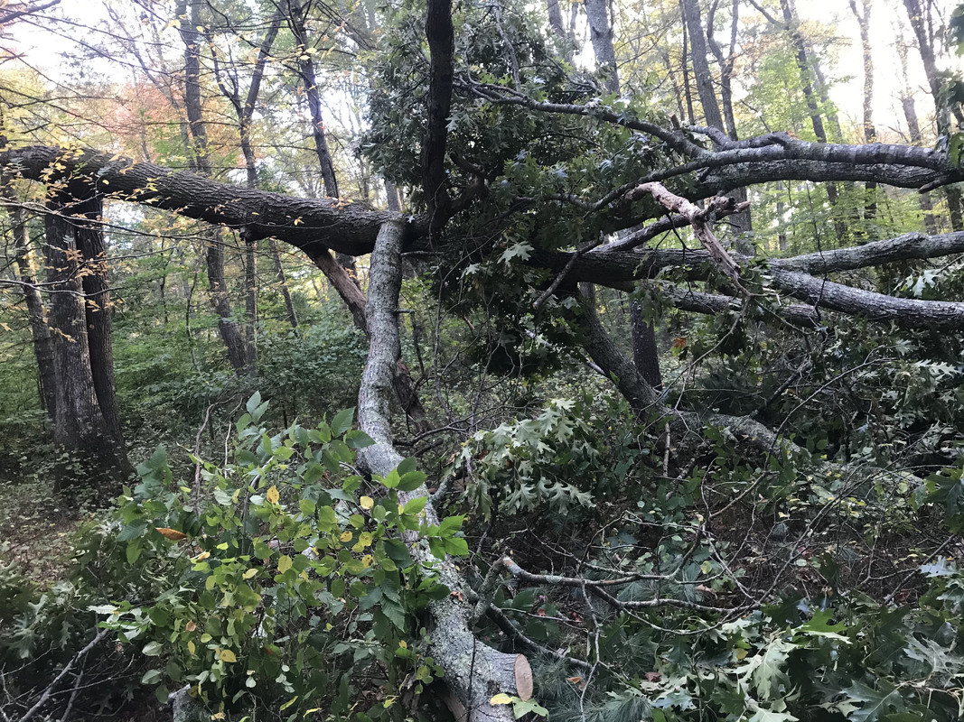 A841538B-194F-4886-B421-C8230D741DA5