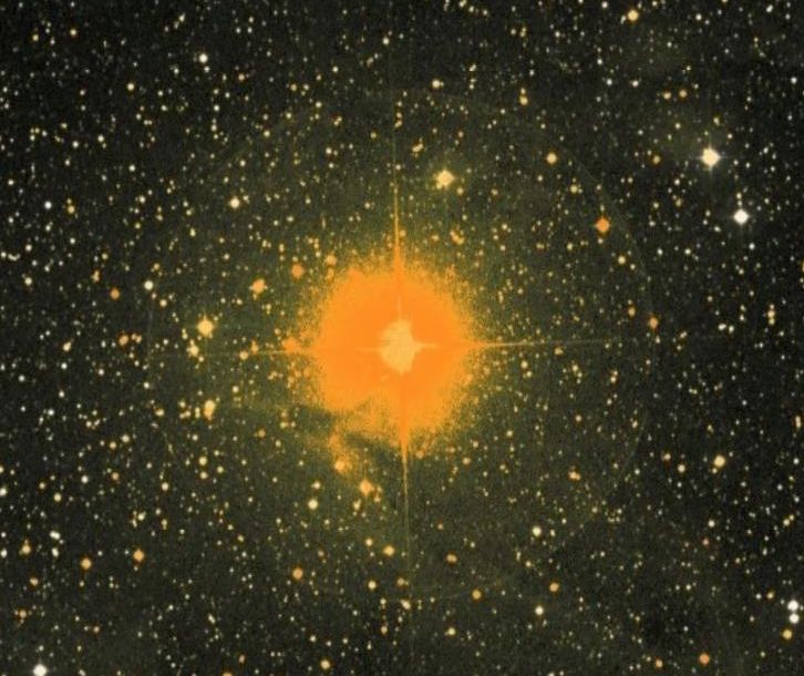 mucephei