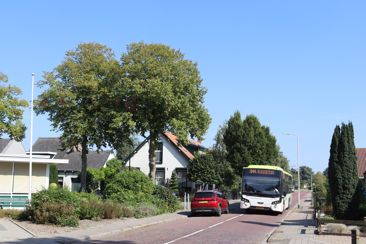 Tholen11