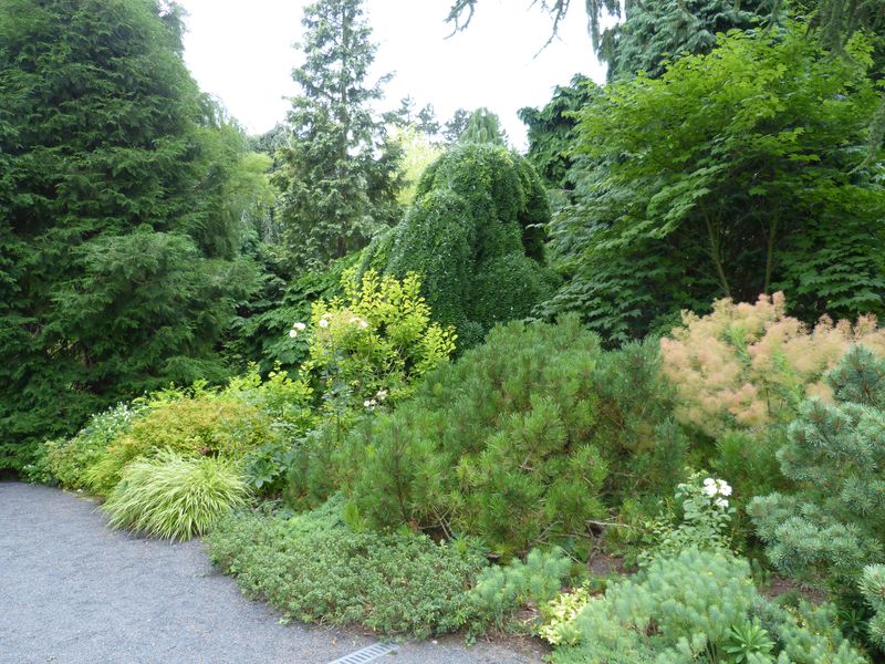 2014-07-13 Arboretum Härle 11