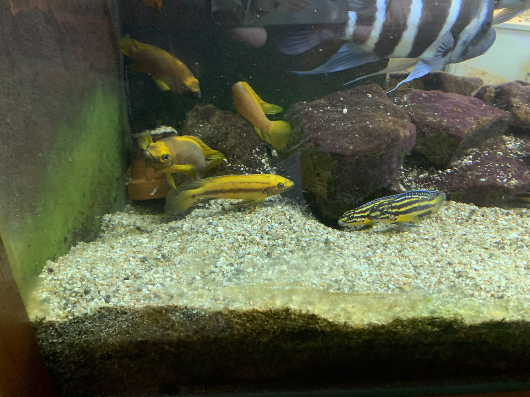 7A4E457B-E215-4663-AC03-C287C2510B62