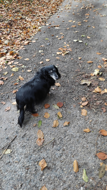 [Image: IMG-20211218-092836-014.jpg]