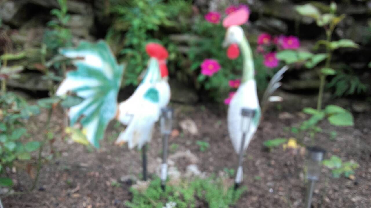 7C0F2DBD-6F49-4EA9-9BCA-3892C7BE9F6F