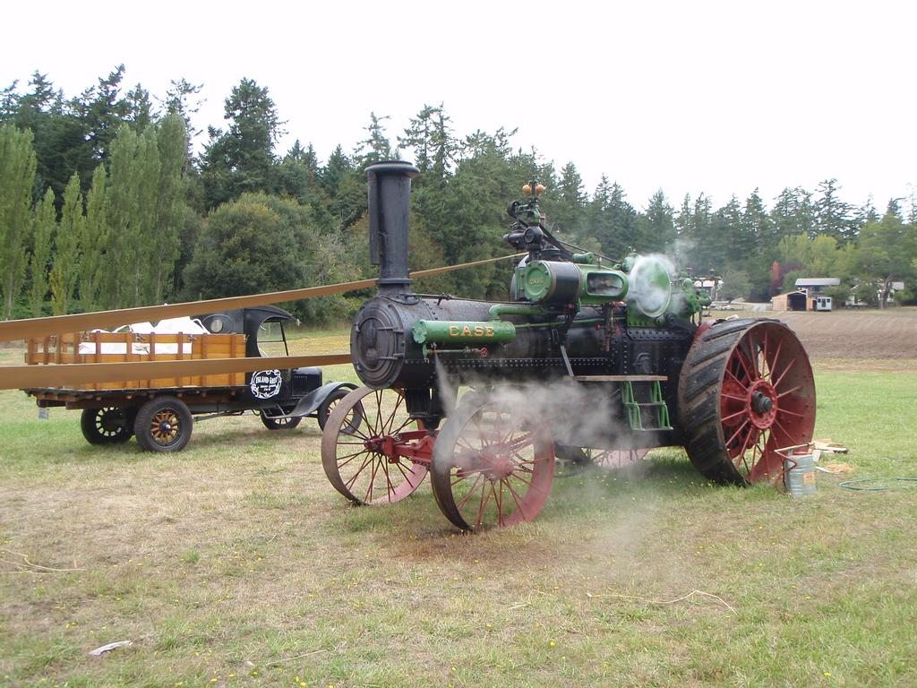 P1010289-1.jpg