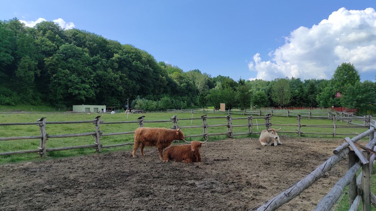 05.22 - IMG_20220617_152108 (Czesio1)