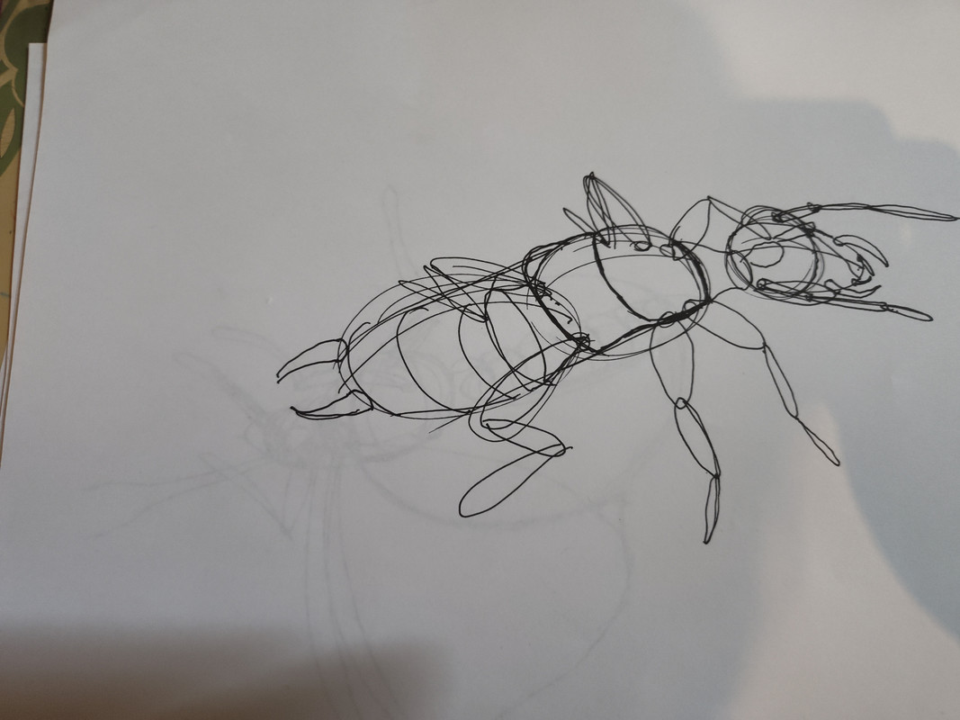 IMG_20240228_132208891