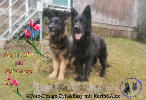 Willkommen-im-M-rz-07-03-25