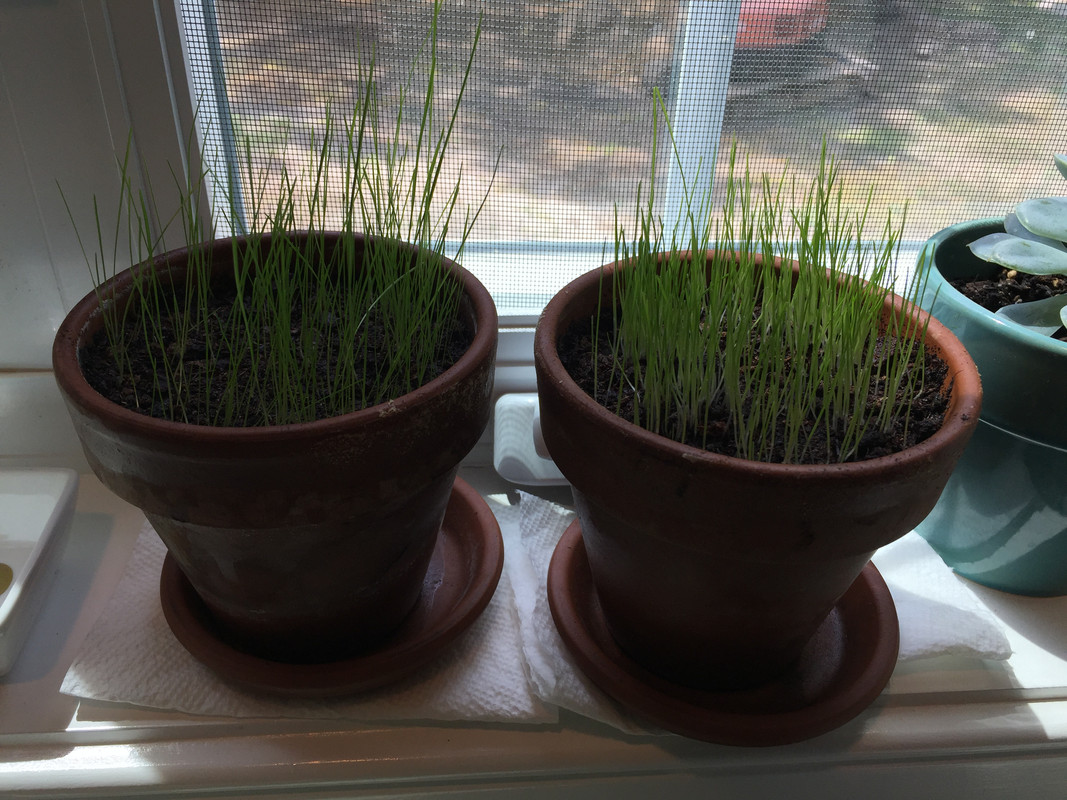 F997E1CC-50D8-4EE4-A9EC-2416E9E6AF6F