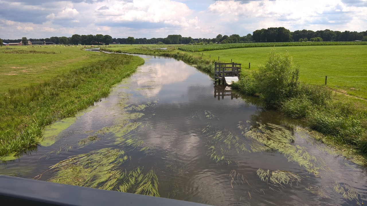 WP_20160715_13_55_10_Pro