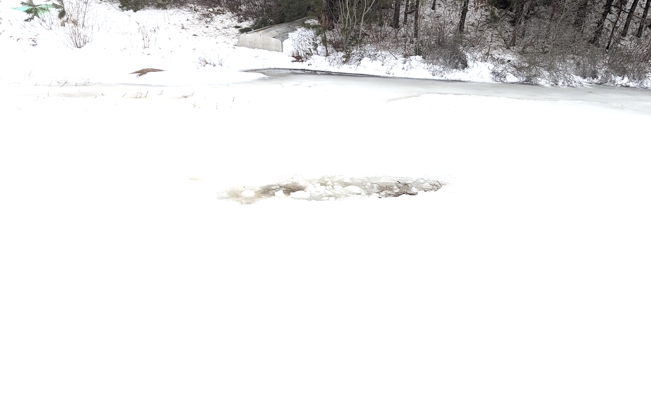 Screenshot 2026 03 01 at 6 51 18 AM