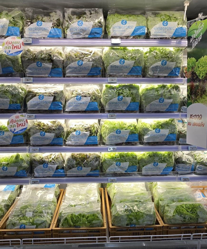 คณิณฟาร์ม 4