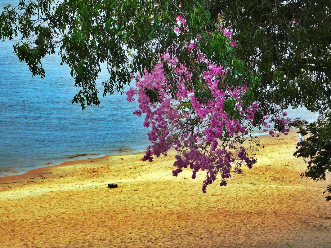 DSCN1610.jpg