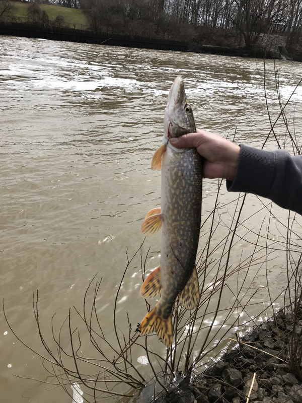 B6D71A0B-0000-49E7-A4EF-14EE22DB5F02