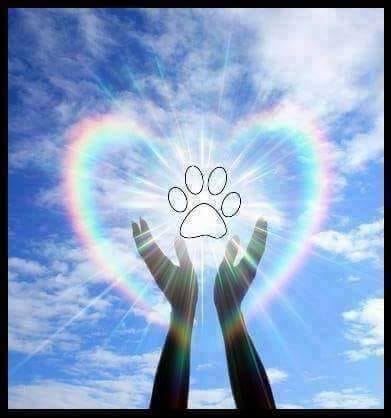 [Image: 42984858-1070052059824923-188628083102711808-n.jpg]