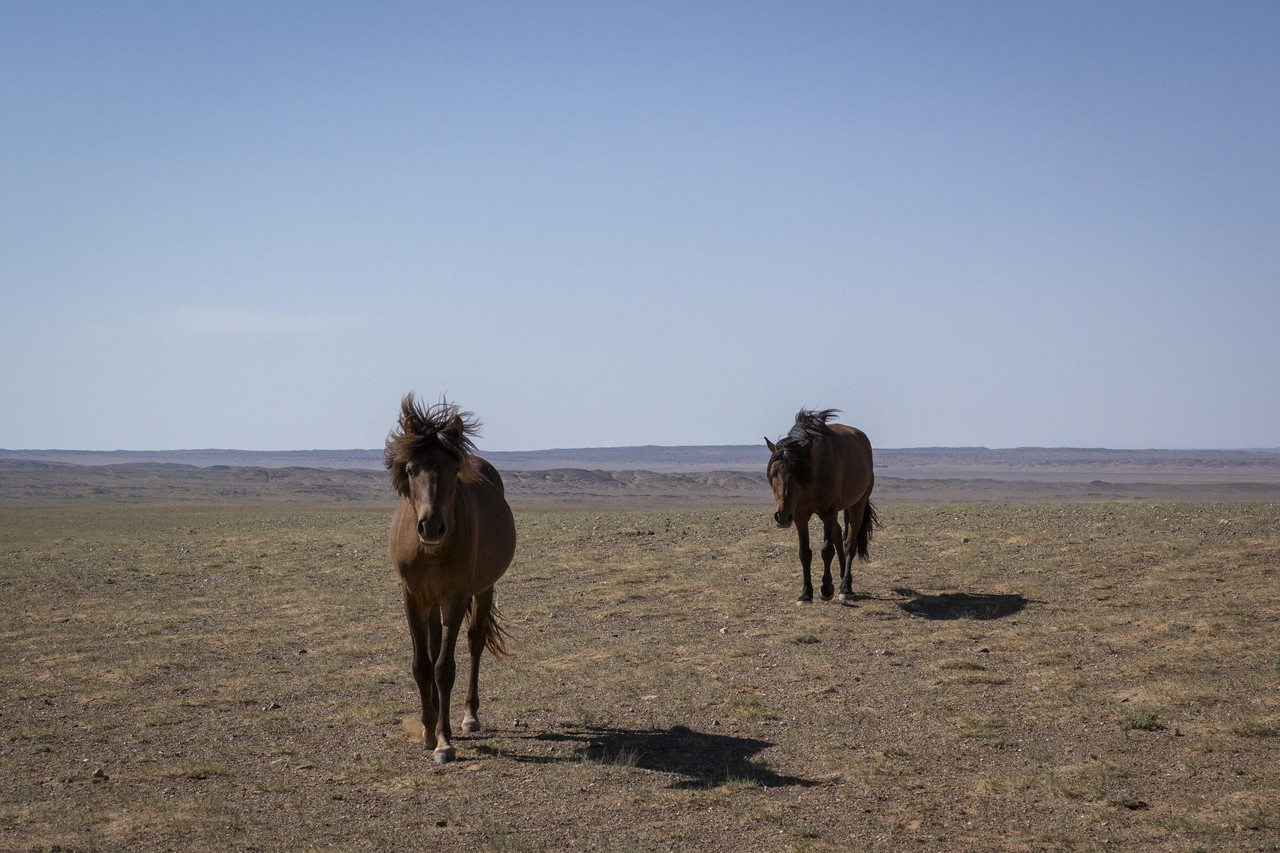 Día 6: Gobi II - De Moscú a Pekín: Mongolia (1)